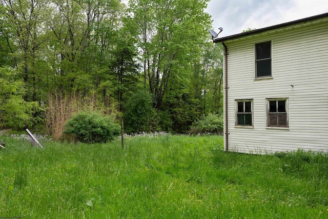248 Casteel Rd, Terra Alta, WV 26764 - view of yard