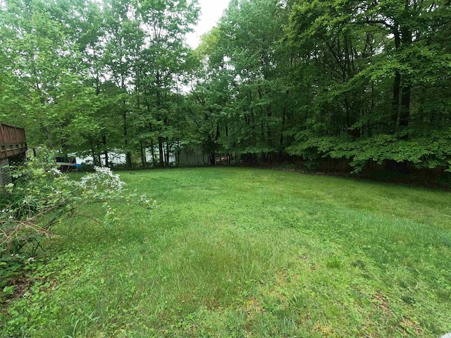 183 Camp Mountaineer Rd, Morgantown, WV 26508 - view of yard