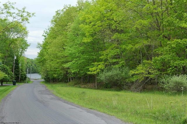 TBD Grosbeak Dr, Terra Alta, WV 26764