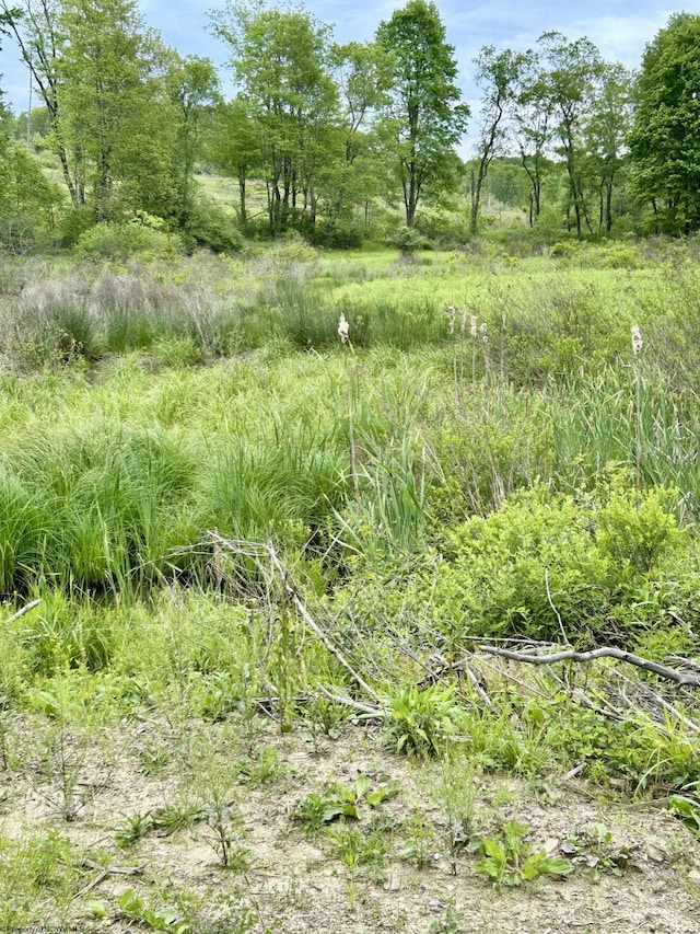 998 Hanlin Rd, Bruceton Mills, WV 26525