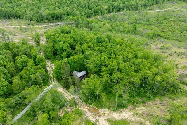 998 Hanlin Rd, Bruceton Mills, WV 26525