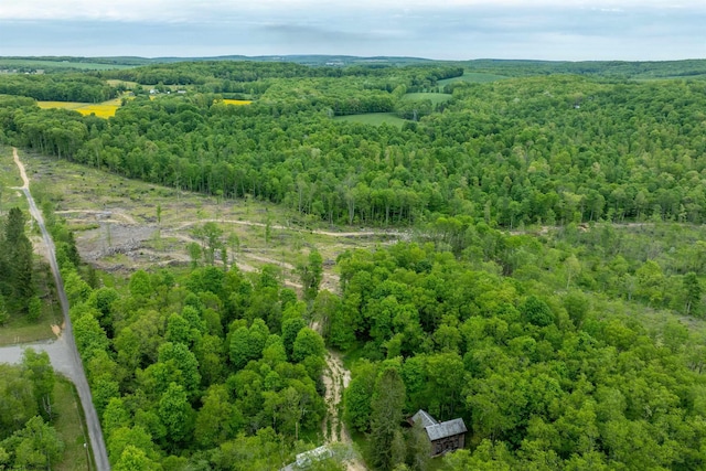 998 Hanlin Rd, Bruceton Mills, WV 26525