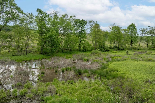 998 Hanlin Rd, Bruceton Mills, WV 26525