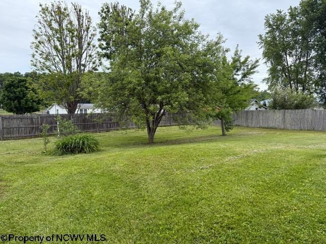227 Wamsley Way, Valley Bend, WV 26293 - view of yard