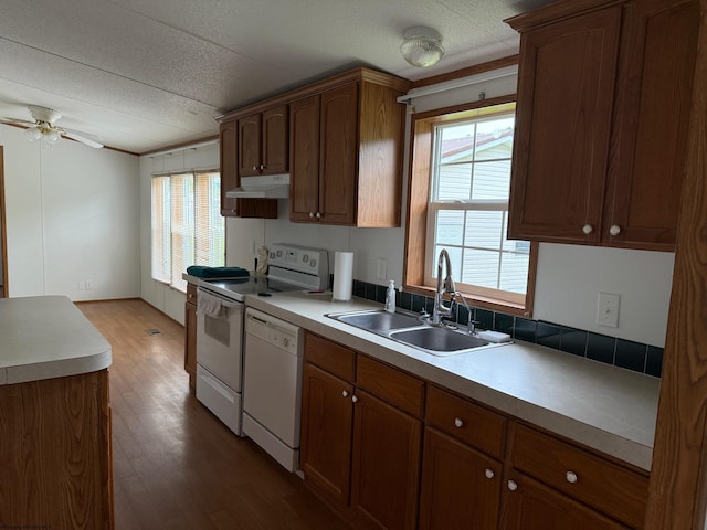 227 Wamsley Way, Valley Bend, WV 26293 - kitchen featuring a sink, under cabinet range hood, white appliances, a ceiling fan, and wood finished floors