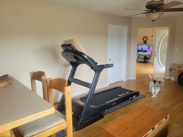 110 Woodmont Way, Fairmont, WV 26554 - workout room featuring ceiling fan and wood finished floors