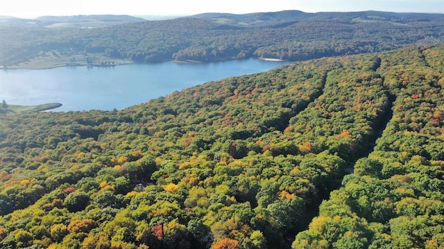 TBD Redwood Dr, Terra Alta, WV 26764