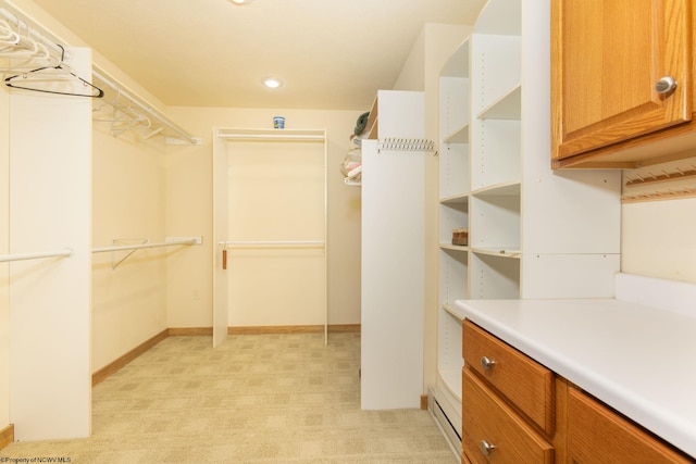 390 Aster Cir, Terra Alta, WV 26764 - walk in closet with light carpet
