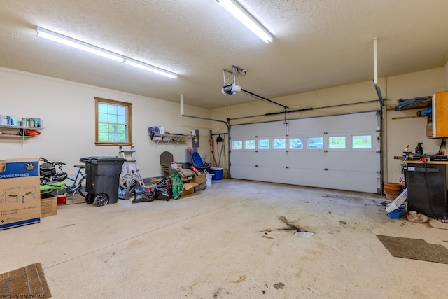 390 Aster Cir, Terra Alta, WV 26764 - garage with a garage door opener