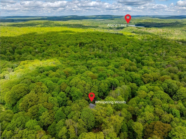 390 Aster Cir, Terra Alta, WV 26764 - aerial view of a forest
