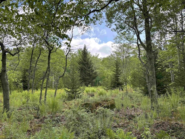 LOT9 Chickadee Dr, Davis, WV 26260