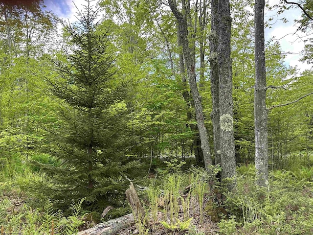LOT9 Chickadee Dr, Davis, WV 26260