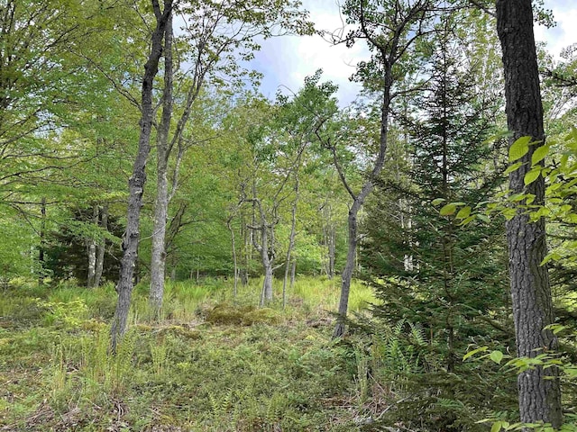 LOT9 Chickadee Dr, Davis, WV 26260