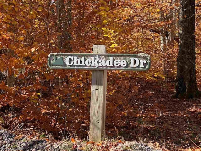 LOT9 Chickadee Dr, Davis, WV 26260
