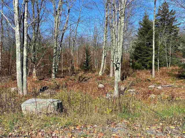 LOT9 Chickadee Dr, Davis, WV 26260