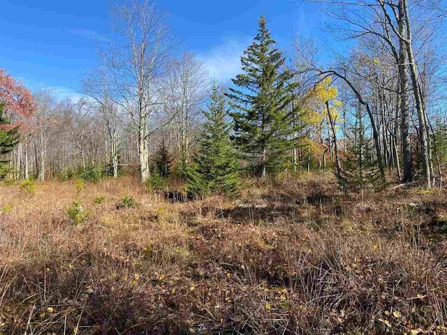 LOT9 Chickadee Dr, Davis, WV 26260