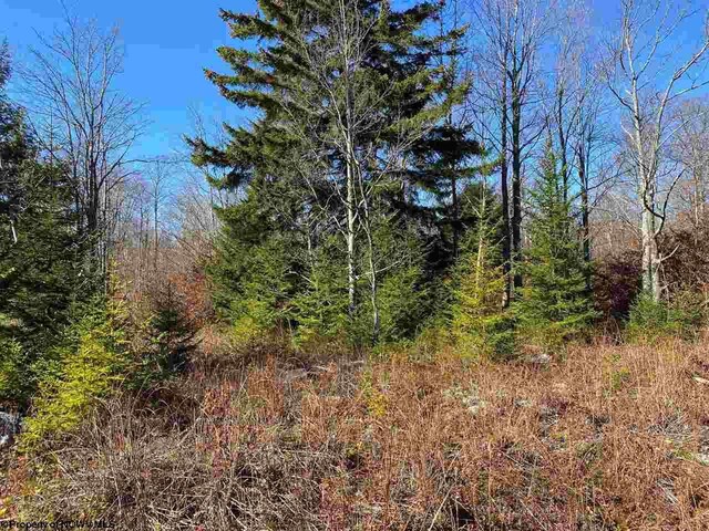 LOT9 Chickadee Dr, Davis, WV 26260