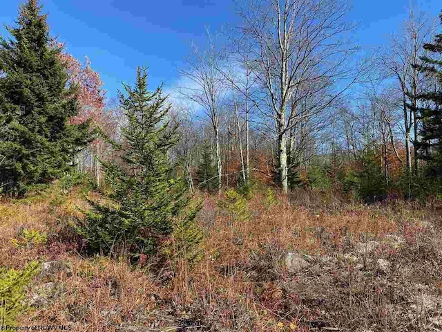 LOT9 Chickadee Dr, Davis, WV 26260