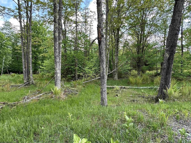 LOT9 Chickadee Dr, Davis, WV 26260