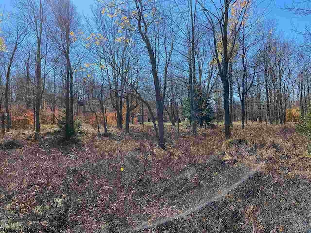 LOT9 Chickadee Dr, Davis, WV 26260