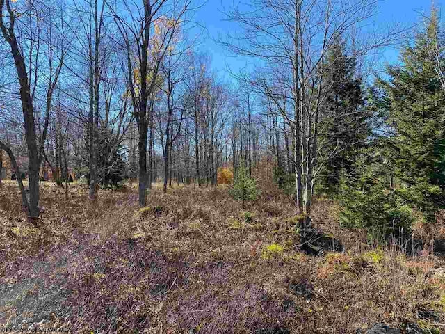 LOT9 Chickadee Dr, Davis, WV 26260