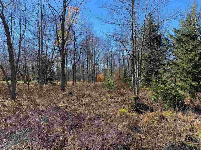 LOT9 Chickadee Dr, Davis, WV 26260