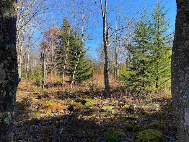 LOT9 Chickadee Dr, Davis, WV 26260