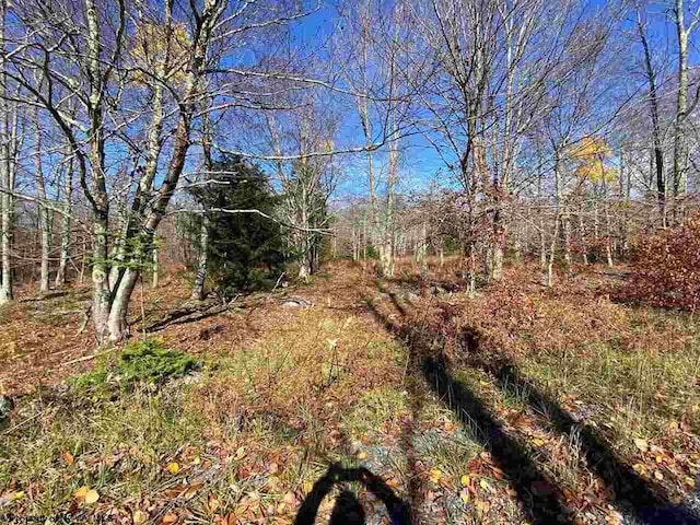 LOT9 Chickadee Dr, Davis, WV 26260