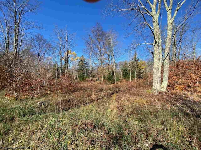 LOT9 Chickadee Dr, Davis, WV 26260