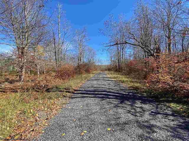 LOT9 Chickadee Dr, Davis, WV 26260