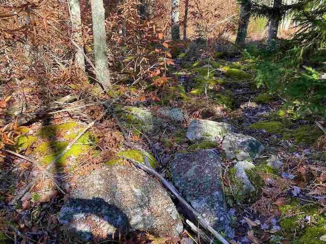 LOT9 Chickadee Dr, Davis, WV 26260