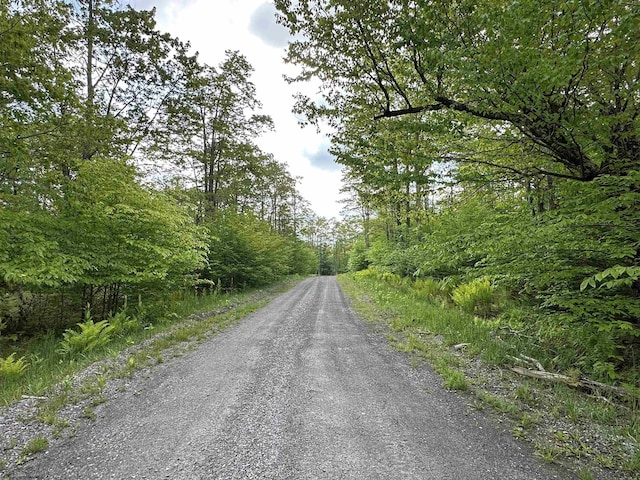 LOT9 Chickadee Dr, Davis, WV 26260