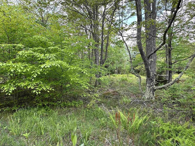 LOT9 Chickadee Dr, Davis, WV 26260