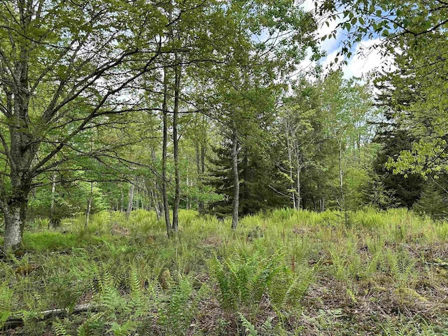 LOT9 Chickadee Dr, Davis, WV 26260