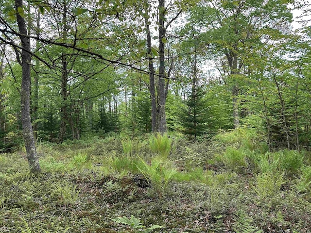 LOT9 Chickadee Dr, Davis, WV 26260