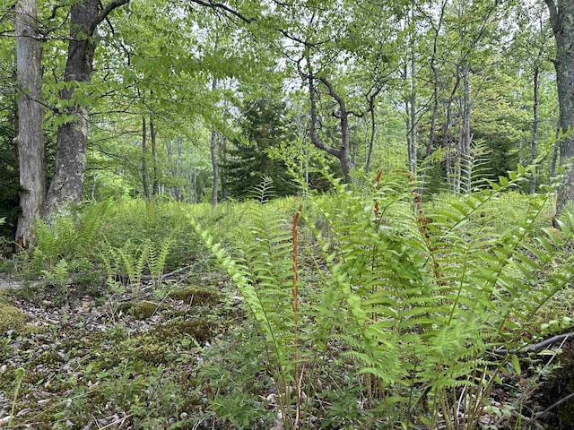 LOT9 Chickadee Dr, Davis, WV 26260