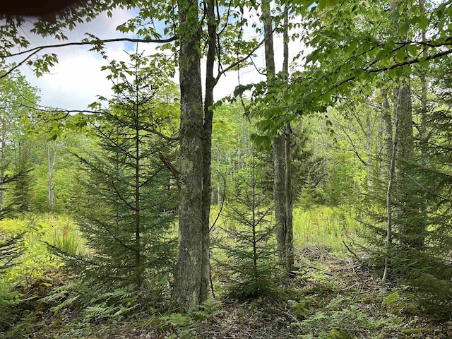 LOT9 Chickadee Dr, Davis, WV 26260