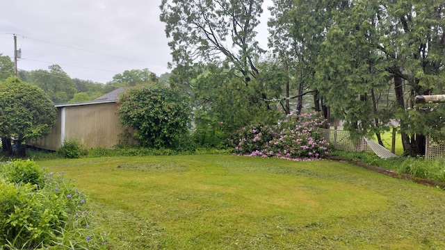 110 15th St, Elkins, WV 26241 - view of grassy yard