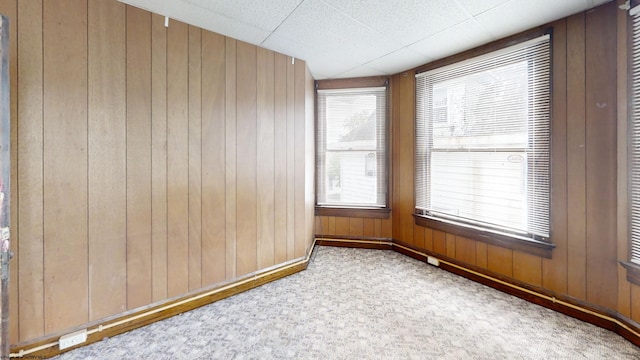 820 Field St, Fairmont, WV 26554 - spare room with wood walls, baseboards, and carpet floors