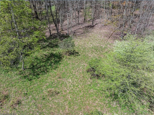 LOTS208-210 Laurel Cir, Terra Alta, WV 26764
