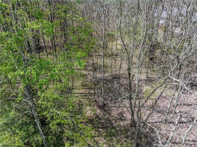 LOTS208-210 Laurel Cir, Terra Alta, WV 26764