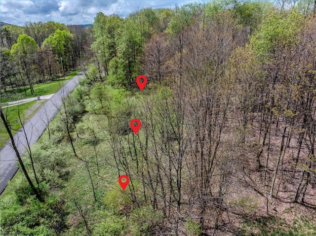 LOTS208-210 Laurel Cir, Terra Alta, WV 26764