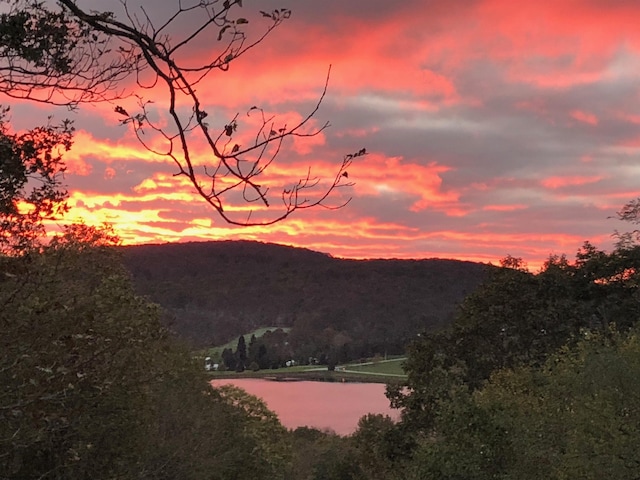 LOTS208-210 Laurel Cir, Terra Alta, WV 26764