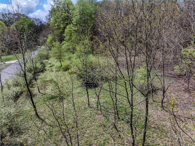 LOTS208-210 Laurel Cir, Terra Alta, WV 26764