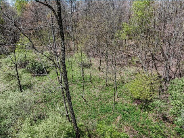 LOTS208-210 Laurel Cir, Terra Alta, WV 26764