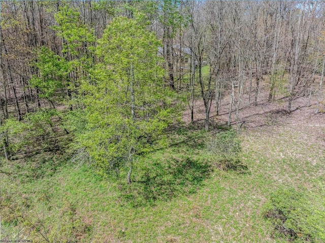 LOTS208-210 Laurel Cir, Terra Alta, WV 26764