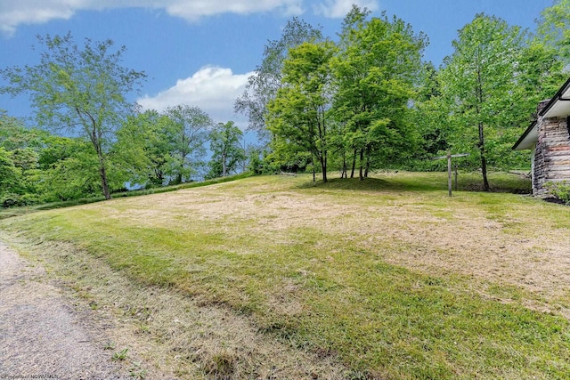 135 Celtic Dr, Clarksburg, WV 26301 - view of green lawn