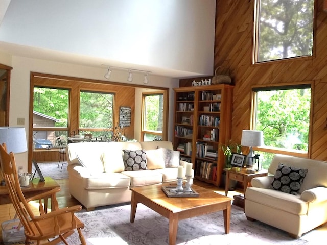 444 Gordon Rd, Beverly, WV 26253 - living room with wooden walls, a high ceiling, and rail lighting