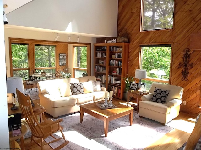 444 Gordon Rd, Beverly, WV 26253 - living area with high vaulted ceiling, wood walls, and wood finished floors