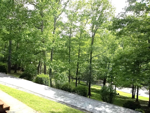 444 Gordon Rd, Beverly, WV 26253 - view of property's community